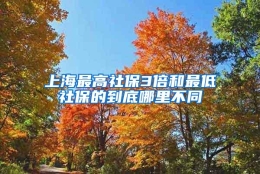 上海最高社保3倍和最低社保的到底哪里不同