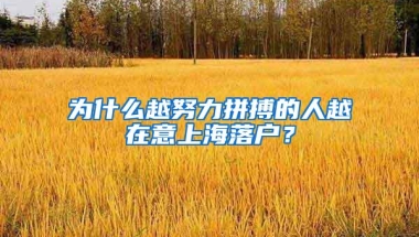 为什么越努力拼搏的人越在意上海落户？