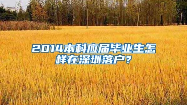 2014本科应届毕业生怎样在深圳落户？