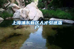 上海浦东新区人才引进落户