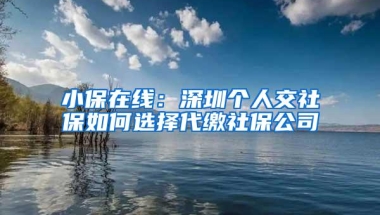 小保在线：深圳个人交社保如何选择代缴社保公司