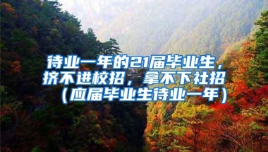 待业一年的21届毕业生，挤不进校招，拿不下社招（应届毕业生待业一年）