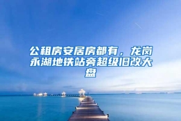 公租房安居房都有，龙岗永湖地铁站旁超级旧改大盘