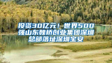 投资30亿元！世界500强山东魏桥创业集团深圳总部落址深圳宝安