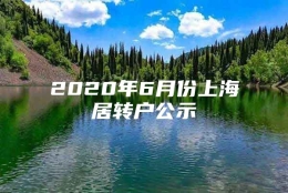 2020年6月份上海居转户公示