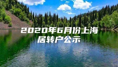 2020年6月份上海居转户公示