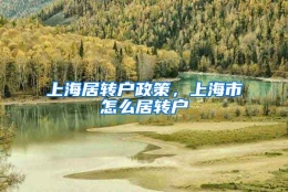 上海居转户政策，上海市怎么居转户