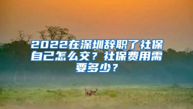 2022在深圳辞职了社保自己怎么交？社保费用需要多少？