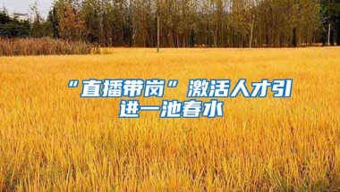 “直播带岗”激活人才引进一池春水