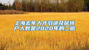 上海去年人才引进及居转户人数是2020年的二倍