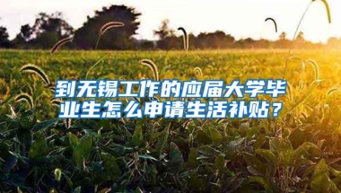 到无锡工作的应届大学毕业生怎么申请生活补贴？