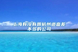 上海有没有跟杭州道富差不多的公司