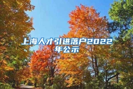 上海人才引进落户2022年公示