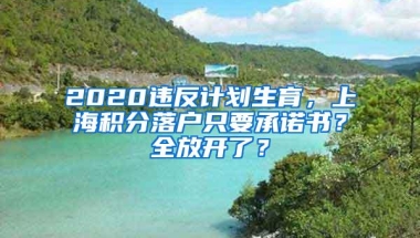 2020违反计划生育，上海积分落户只要承诺书？全放开了？