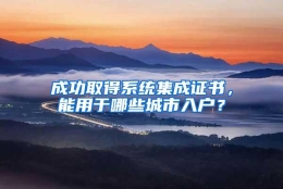 成功取得系统集成证书，能用于哪些城市入户？