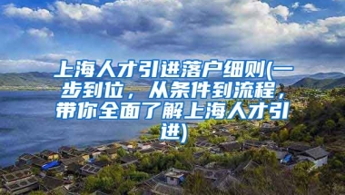 上海人才引进落户细则(一步到位，从条件到流程，带你全面了解上海人才引进)