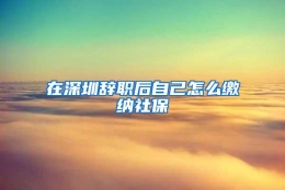 在深圳辞职后自己怎么缴纳社保