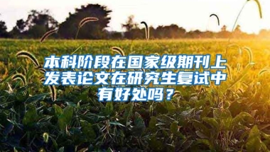 本科阶段在国家级期刊上发表论文在研究生复试中有好处吗？