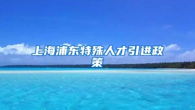 上海浦东特殊人才引进政策