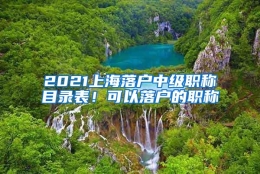 2021上海落户中级职称目录表！可以落户的职称