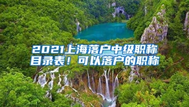 2021上海落户中级职称目录表！可以落户的职称