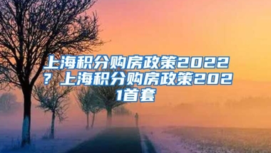 上海积分购房政策2022？上海积分购房政策2021首套