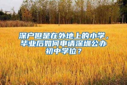 深户但是在外地上的小学，毕业后如何申请深圳公办初中学位？