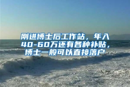 刚进博士后工作站，年入40-60万还有各种补贴，博士一般可以直接落户