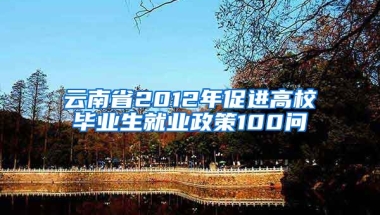 云南省2012年促进高校毕业生就业政策100问