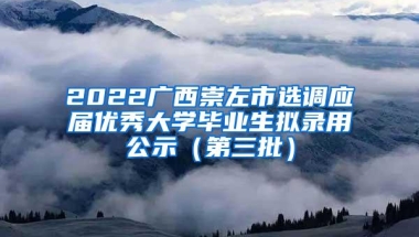 2022广西崇左市选调应届优秀大学毕业生拟录用公示（第三批）