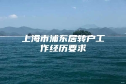 上海市浦东居转户工作经历要求