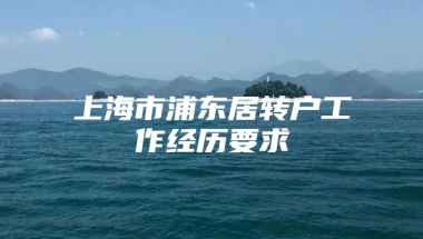 上海市浦东居转户工作经历要求