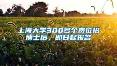 上海大学300多个岗位招博士后，即日起报名