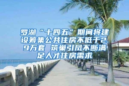 罗湖“十四五”期间将建设筹集公共住房不低于2.9万套 筑巢引凤不断满足人才住房需求