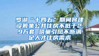 罗湖“十四五”期间将建设筹集公共住房不低于2.9万套 筑巢引凤不断满足人才住房需求