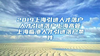 2019上海引进人才落户 人才引进落户上海高管 上海临港人才引进落户条件