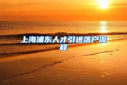 上海浦东人才引进落户流程