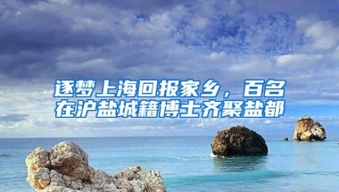 逐梦上海回报家乡，百名在沪盐城籍博士齐聚盐都