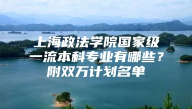 上海政法学院国家级一流本科专业有哪些？附双万计划名单