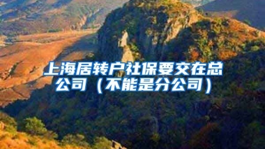 上海居转户社保要交在总公司（不能是分公司）