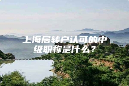 上海居转户认可的中级职称是什么？