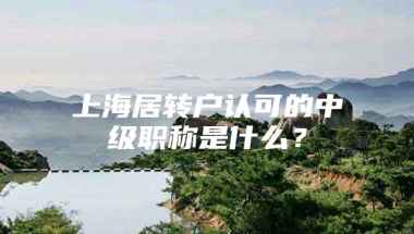 上海居转户认可的中级职称是什么？