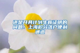 还是开具计划生育证明的问题！上海积分落户便利通道