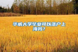 华威大学毕业可以落户上海吗？