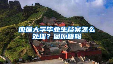 应届大学毕业生档案怎么处理？回原籍吗