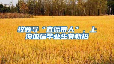 校领导“直播带人”，上海应届毕业生有新招