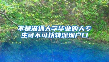 不是深圳大学毕业的大专生可不可以转深圳户口