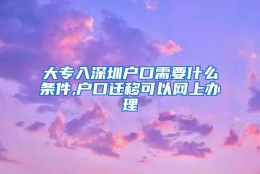 大专入深圳户口需要什么条件,户口迁移可以网上办理