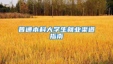 普通本科大学生就业渠道指南