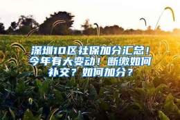 深圳10区社保加分汇总！今年有大变动！断缴如何补交？如何加分？